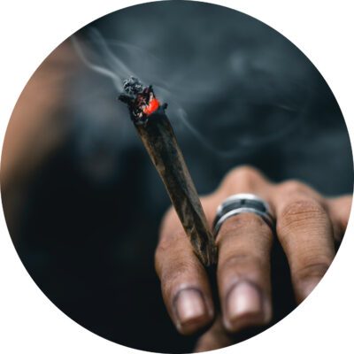 marijuana studii consumatori droguri